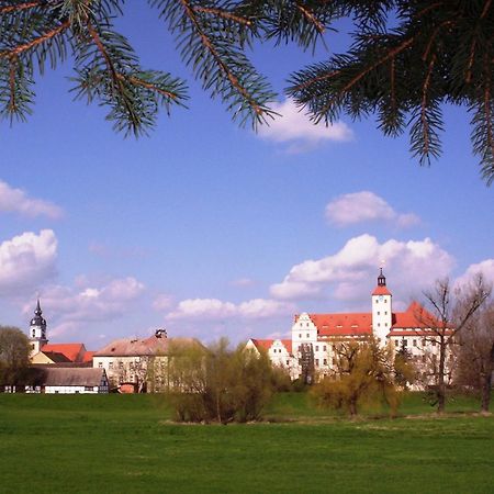 Parkhotel Pretzsch Bad Schmiedeberg Esterno foto