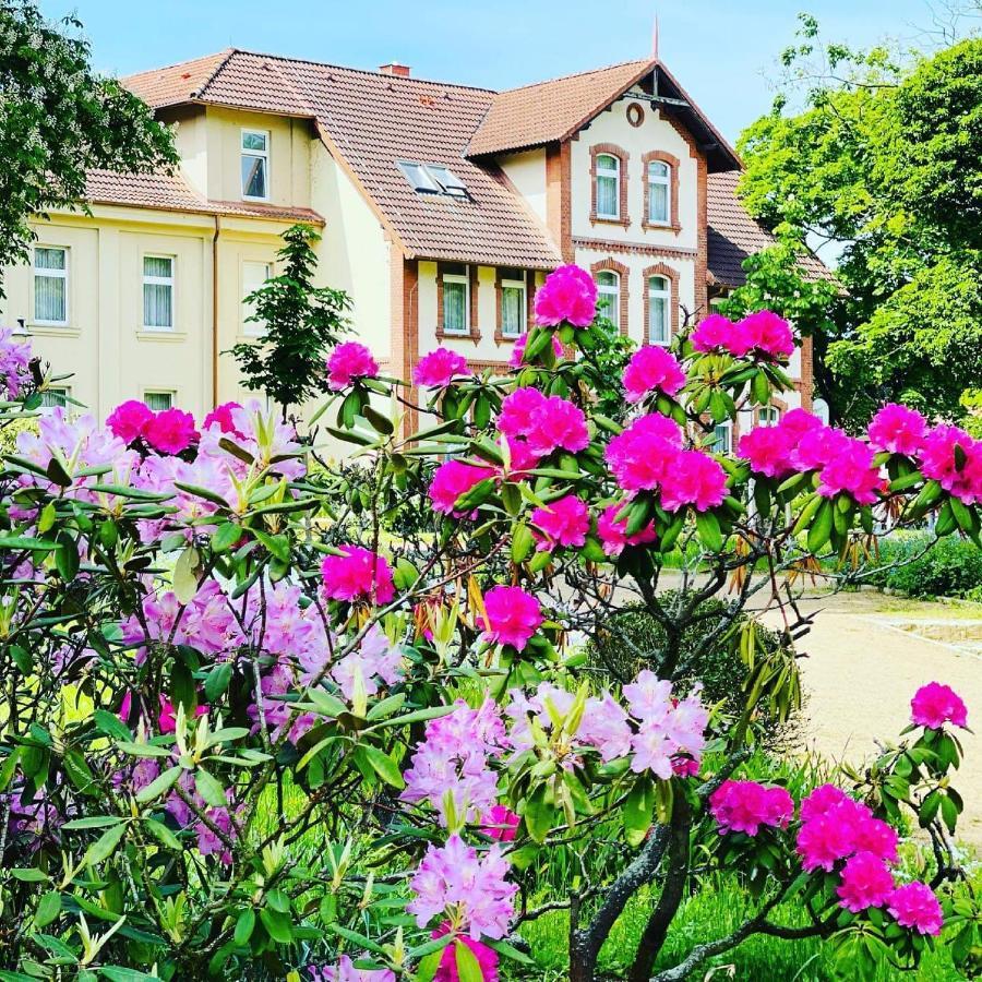 Parkhotel Pretzsch Bad Schmiedeberg Esterno foto