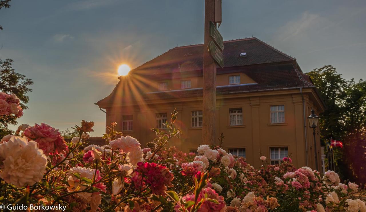 Parkhotel Pretzsch Bad Schmiedeberg Esterno foto